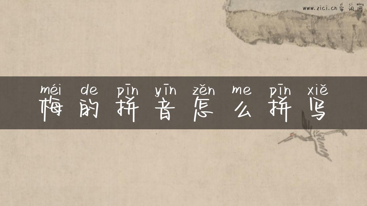 梅的拼音怎么拼写