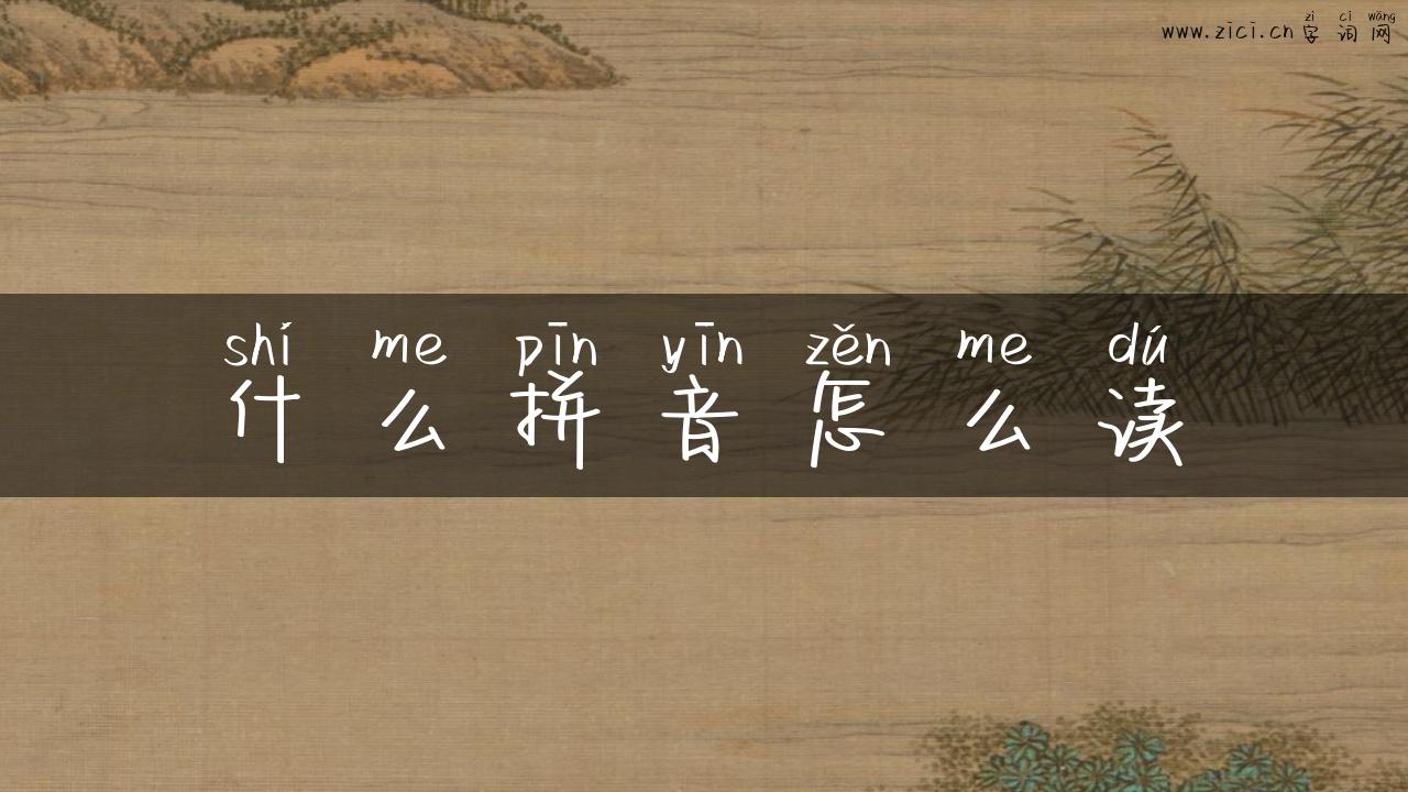 什么拼音怎么读