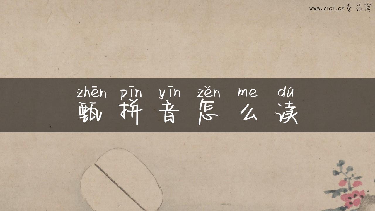 甄拼音怎么读