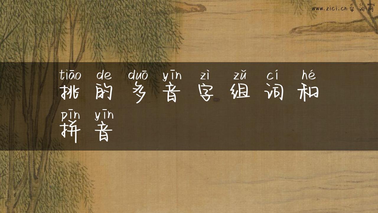 挑的多音字组词和拼音