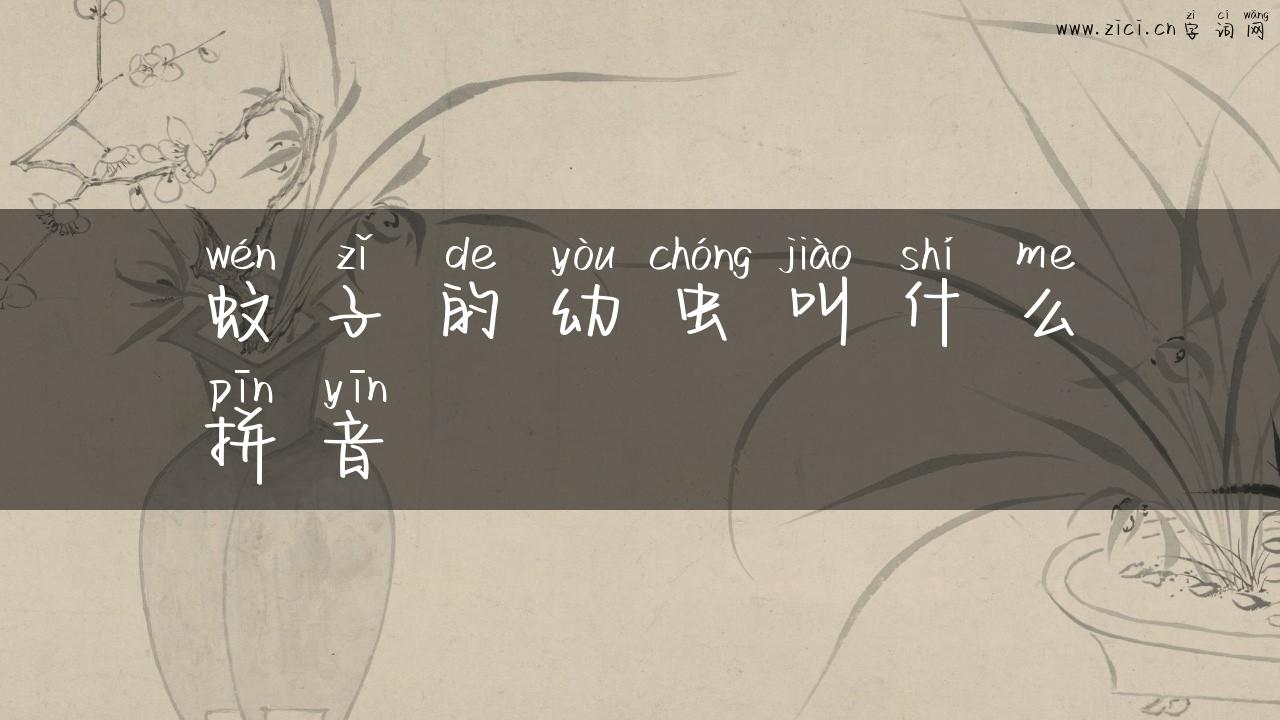 蚊子的幼虫叫什么拼音