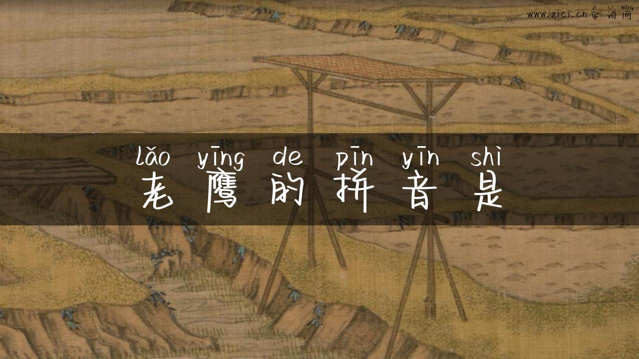 老鹰的拼音是