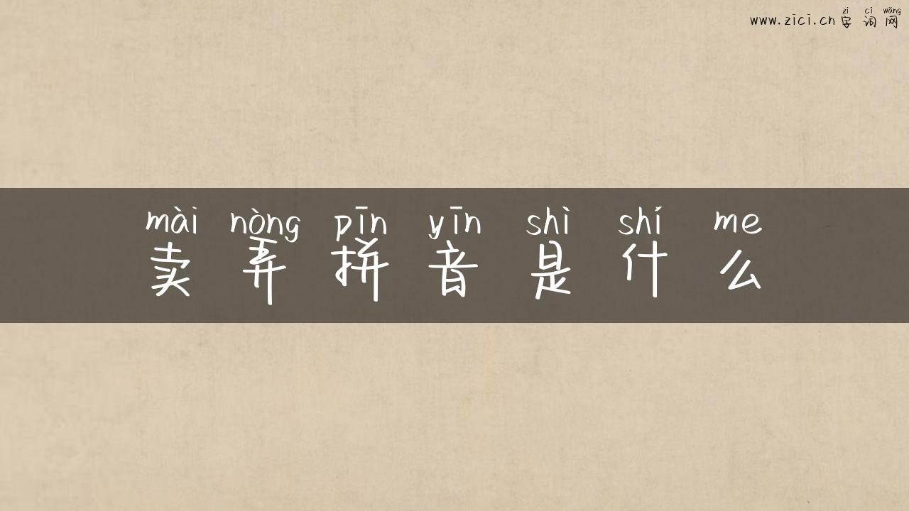 卖弄拼音是什么