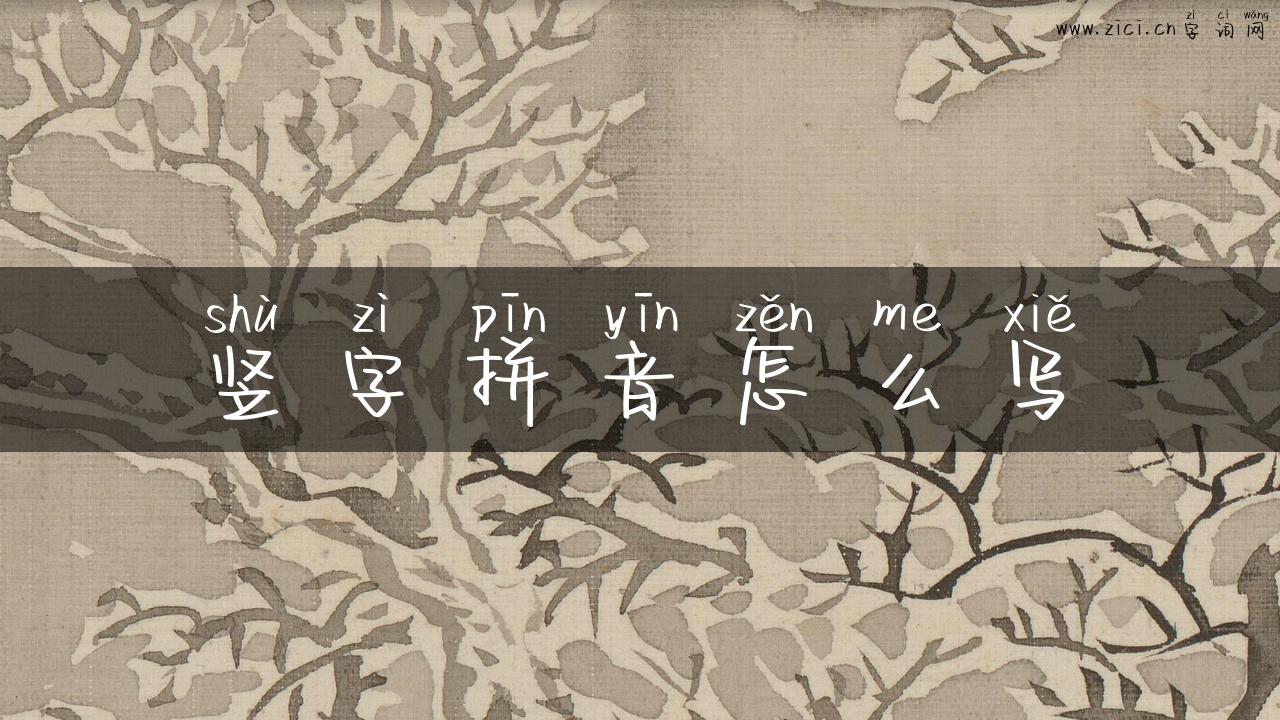 竖字拼音怎么写