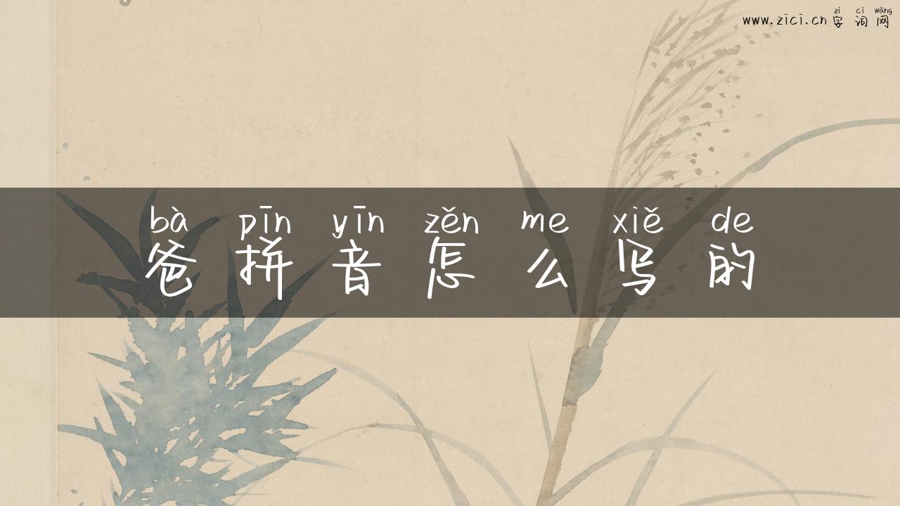 爸拼音怎么写的