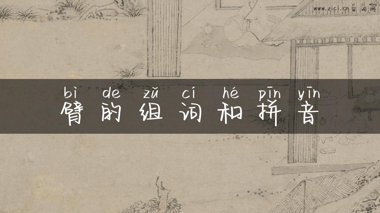 臂的组词和拼音