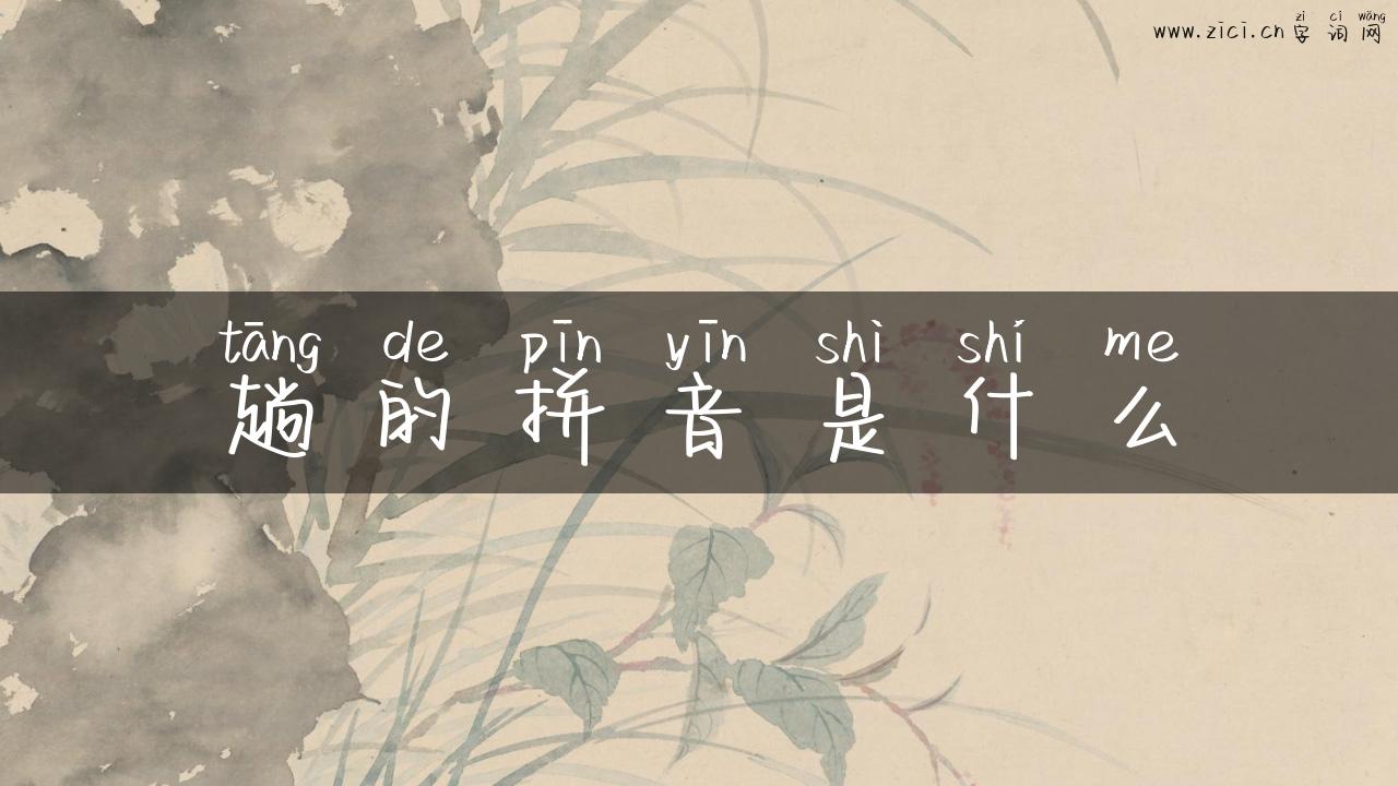 趟的拼音是什么