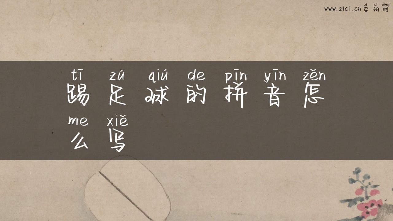 踢足球的拼音怎么写