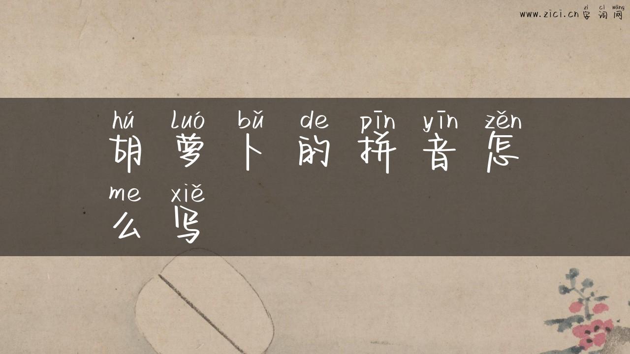 胡萝卜的拼音怎么写