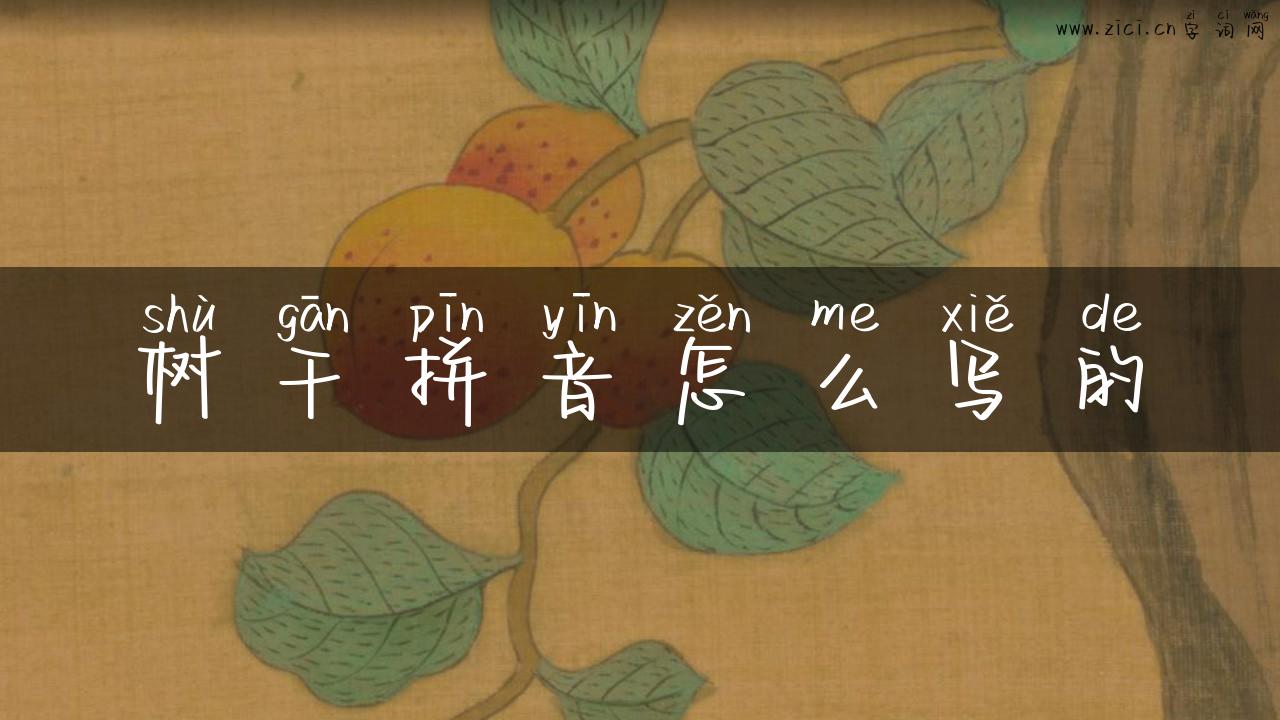树干拼音怎么写的