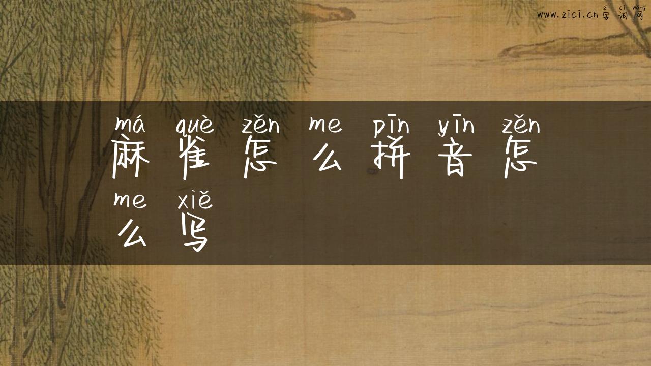 麻雀怎么拼音怎么写