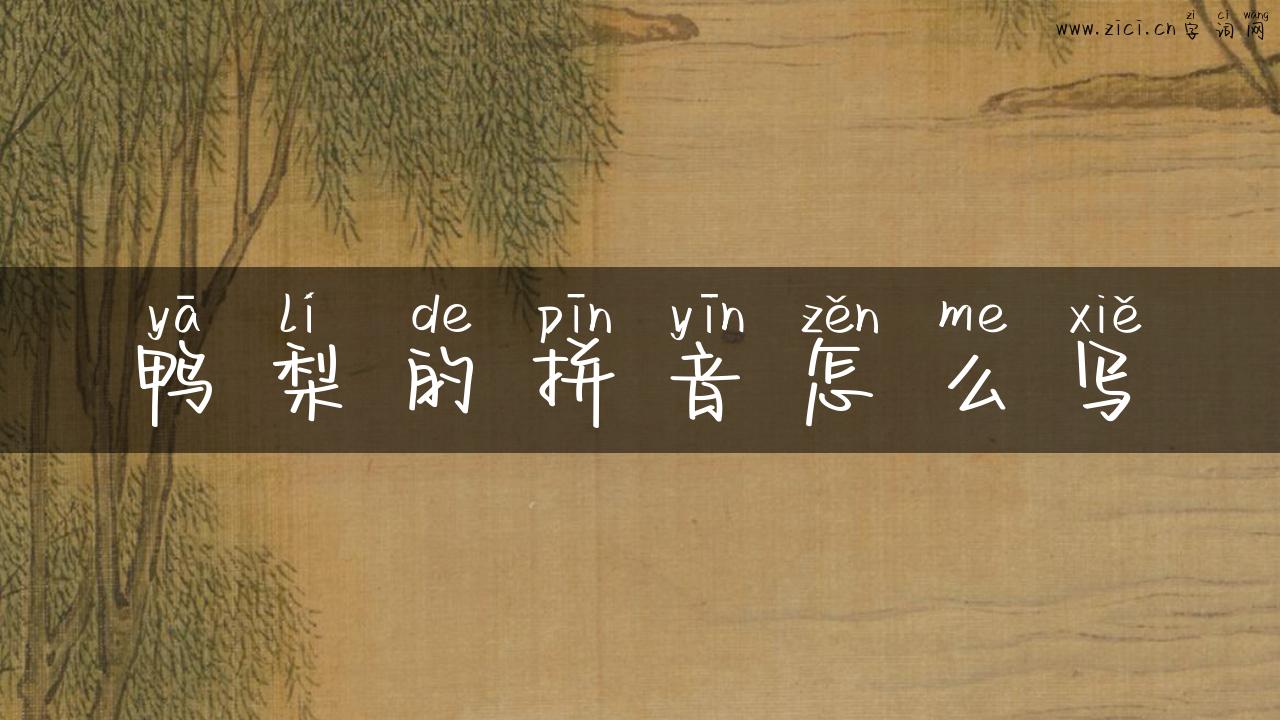 鸭梨的拼音怎么写