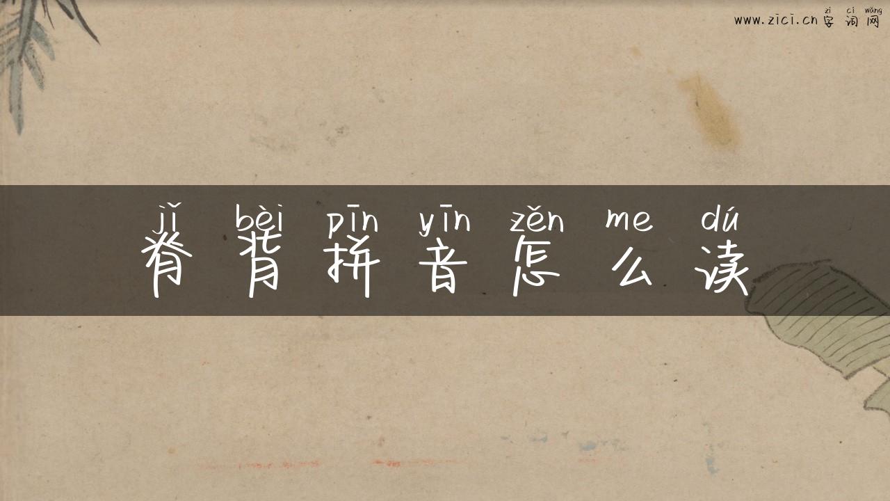 脊背拼音怎么读