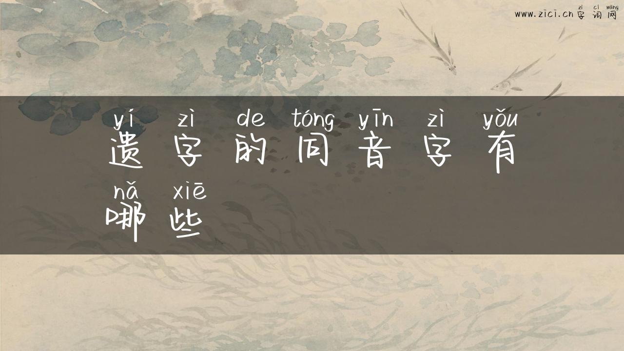 遗字的同音字有哪些