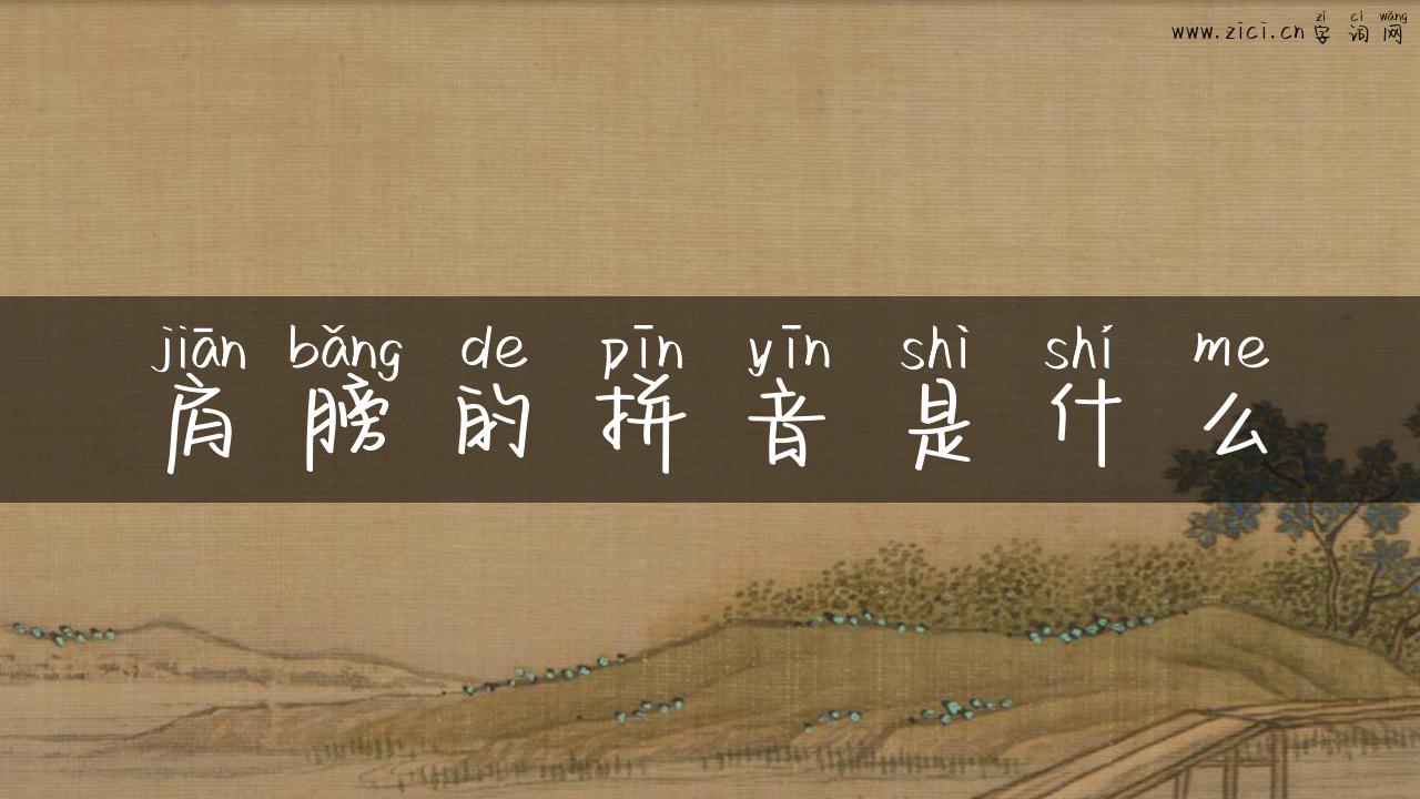 肩膀的拼音是什么
