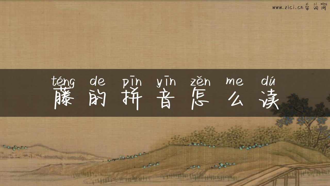 藤的拼音怎么读