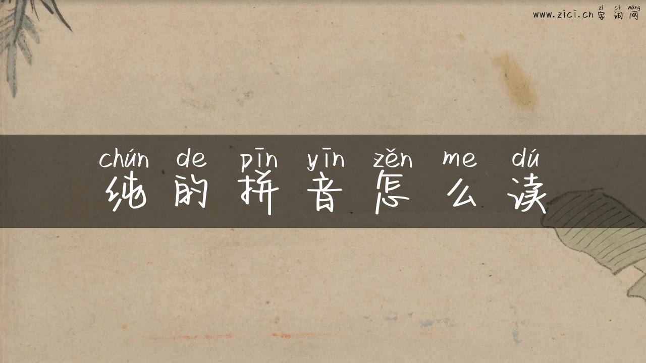 纯的拼音怎么读