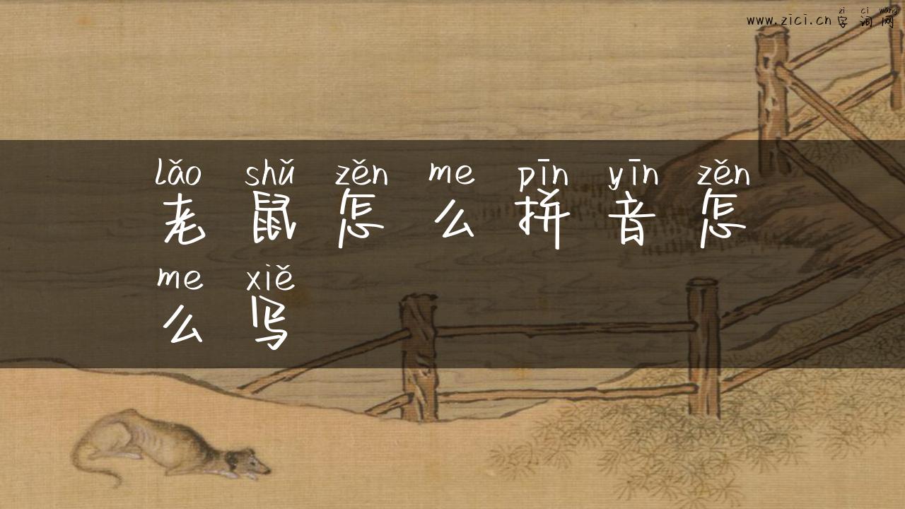 老鼠怎么拼音怎么写