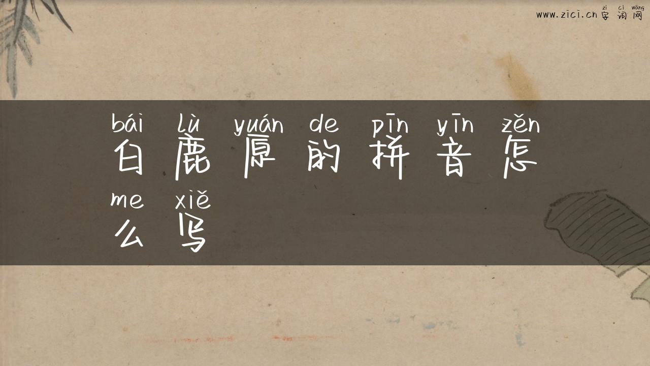 白鹿原的拼音怎么写