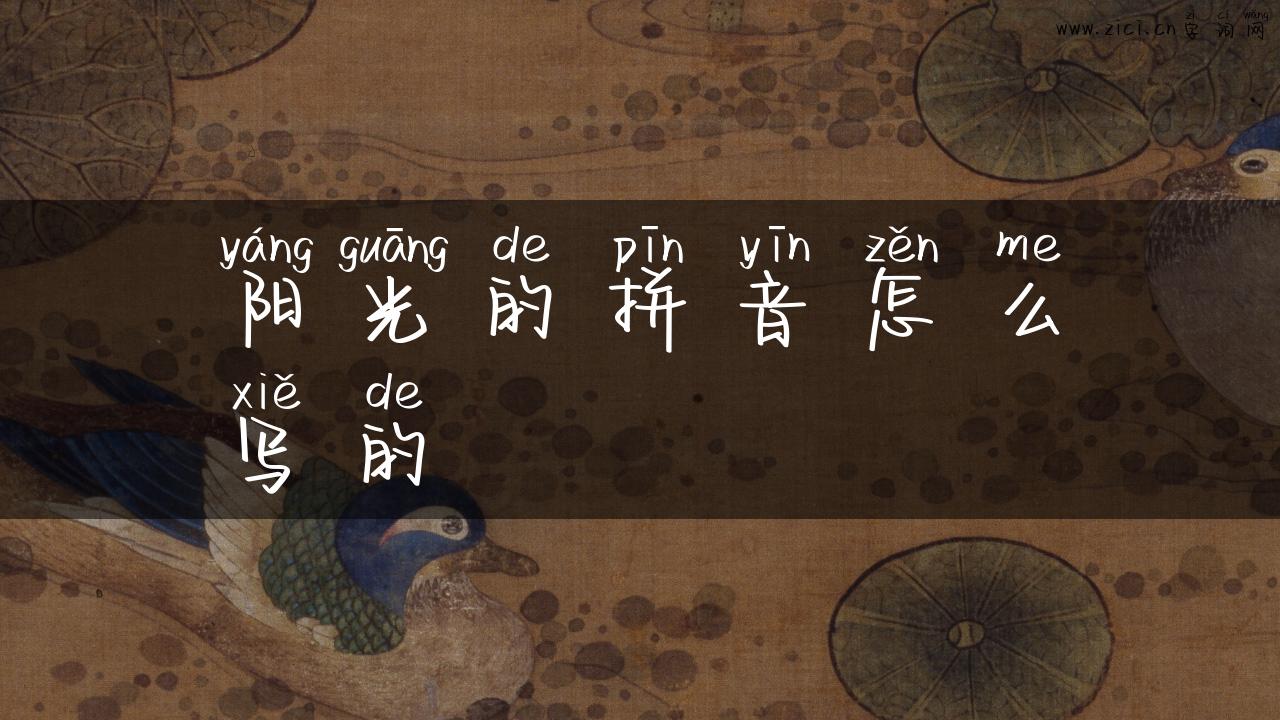 阳光的拼音怎么写的