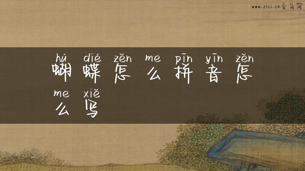 蝴蝶怎么拼音怎么写