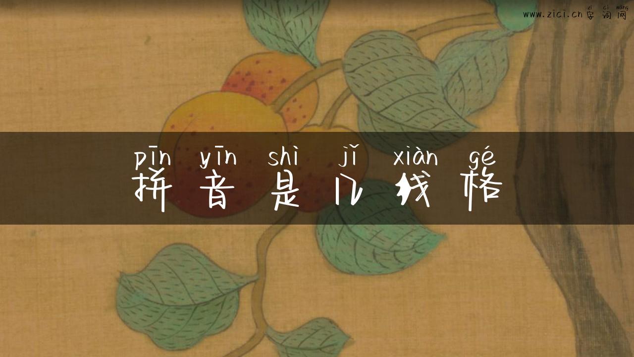 拼音是几线格