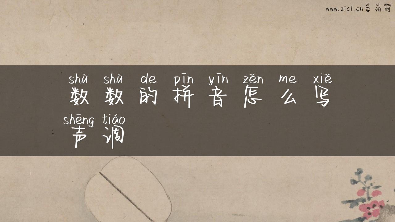 数数的拼音怎么写声调