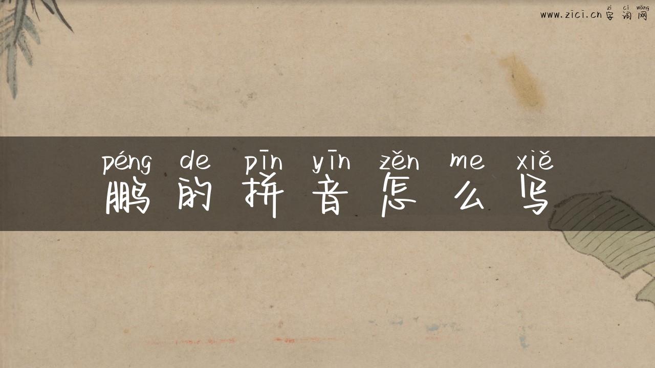 鹏的拼音怎么写