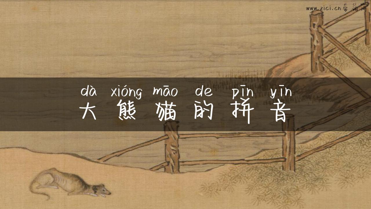 大熊猫的拼音