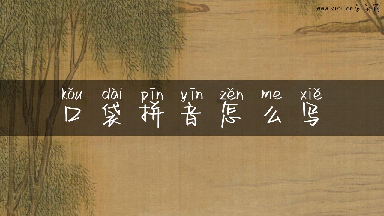 口袋拼音怎么写