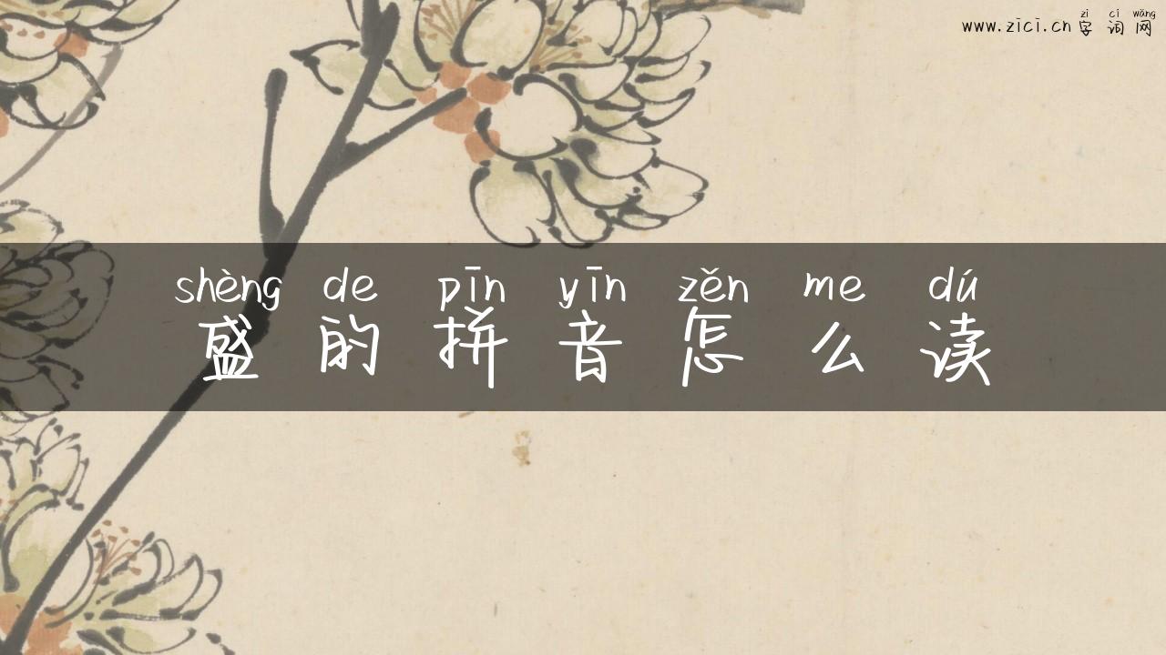 盛的拼音怎么读