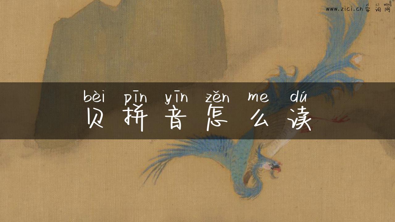 贝拼音怎么读