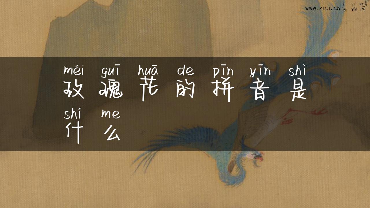 玫瑰花的拼音是什么