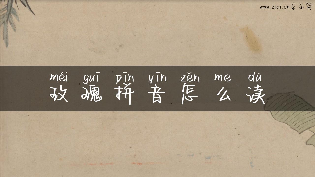 玫瑰拼音怎么读