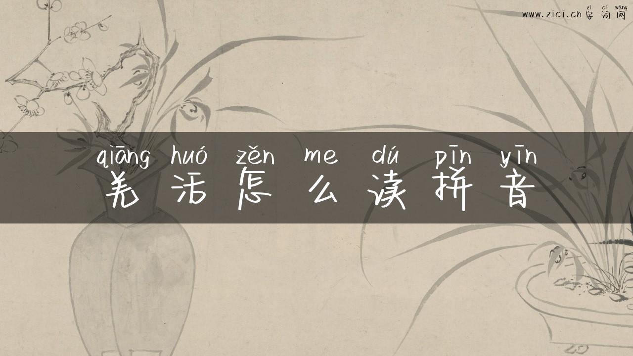 羌活怎么读拼音