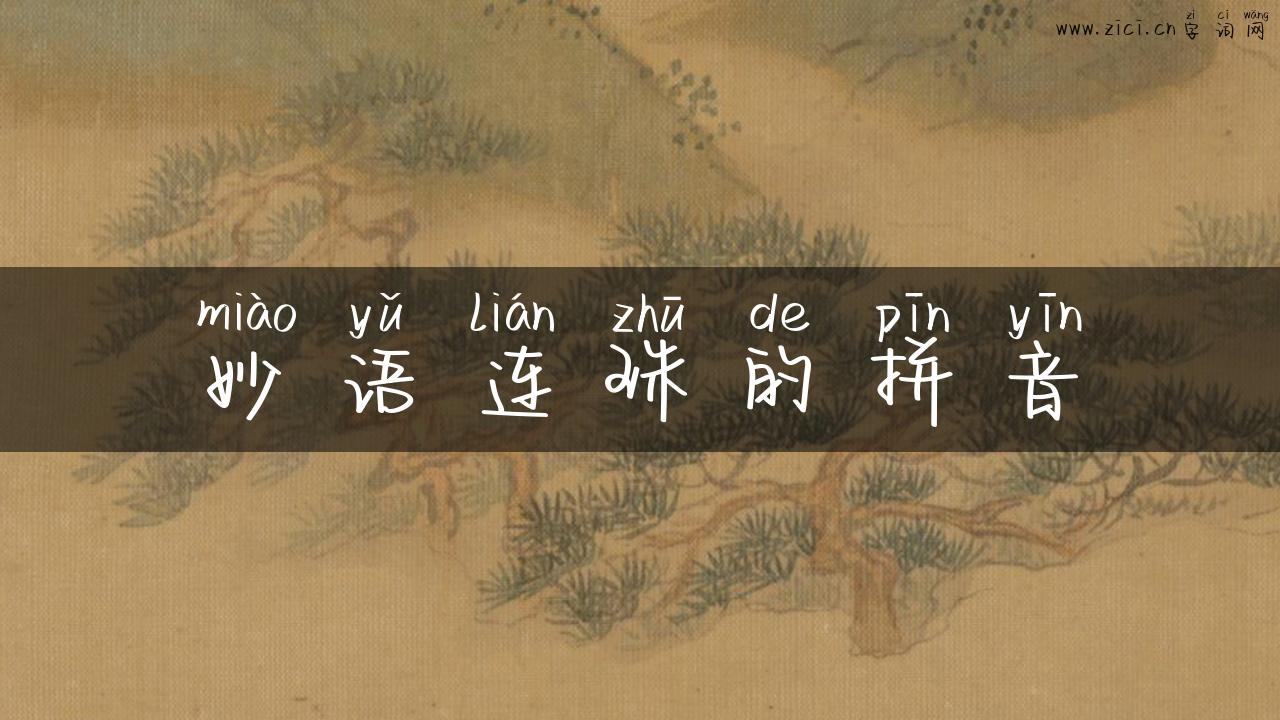妙语连珠的拼音