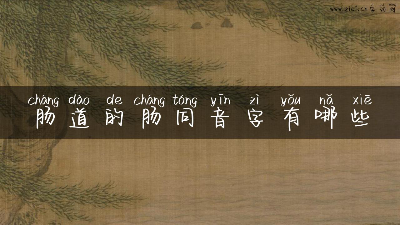 肠道的肠同音字有哪些
