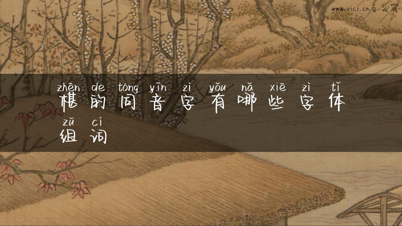 椹的同音字有哪些字体组词