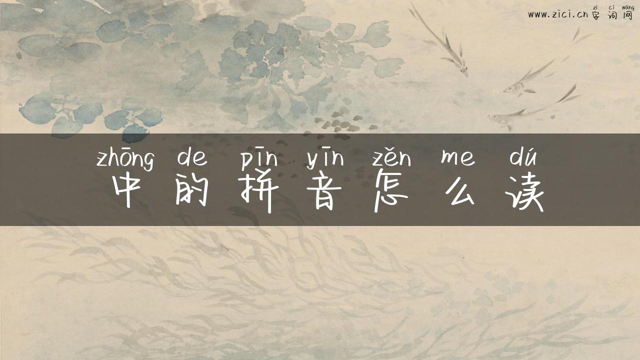 中的拼音怎么读