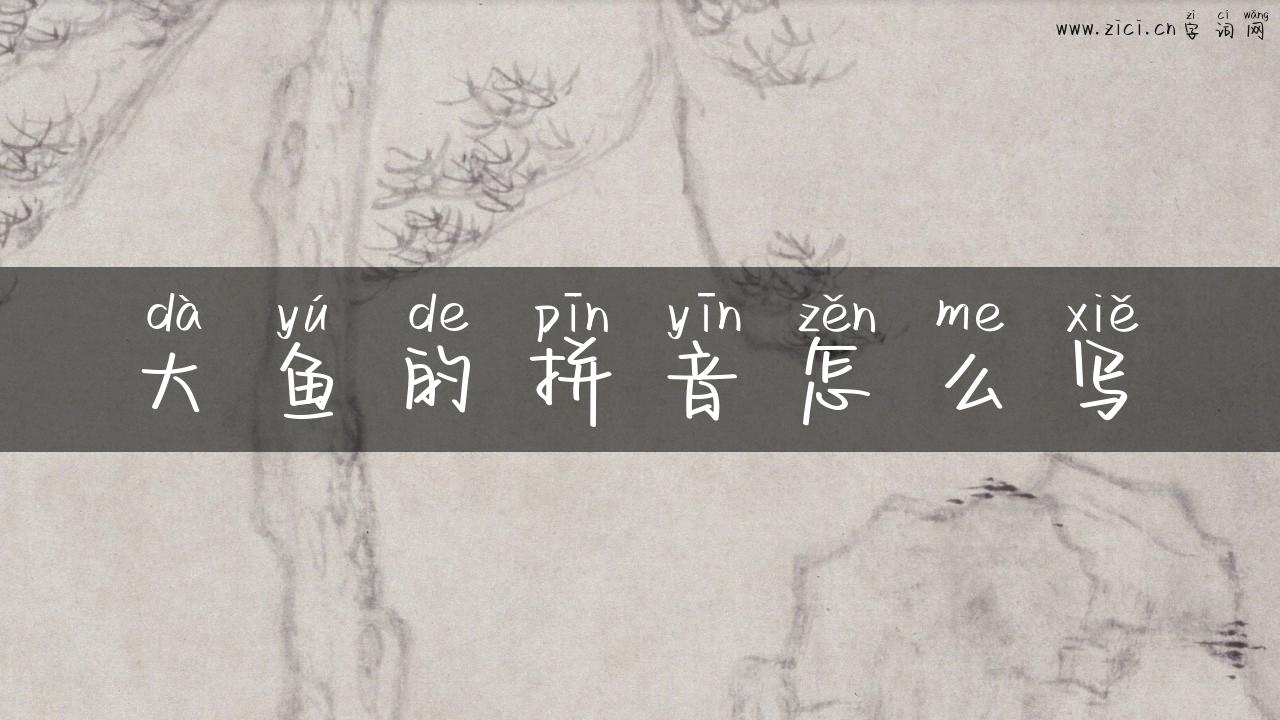 大鱼的拼音怎么写