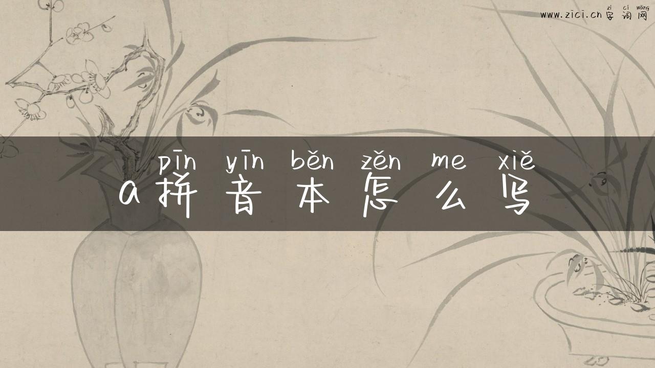 a拼音本怎么写