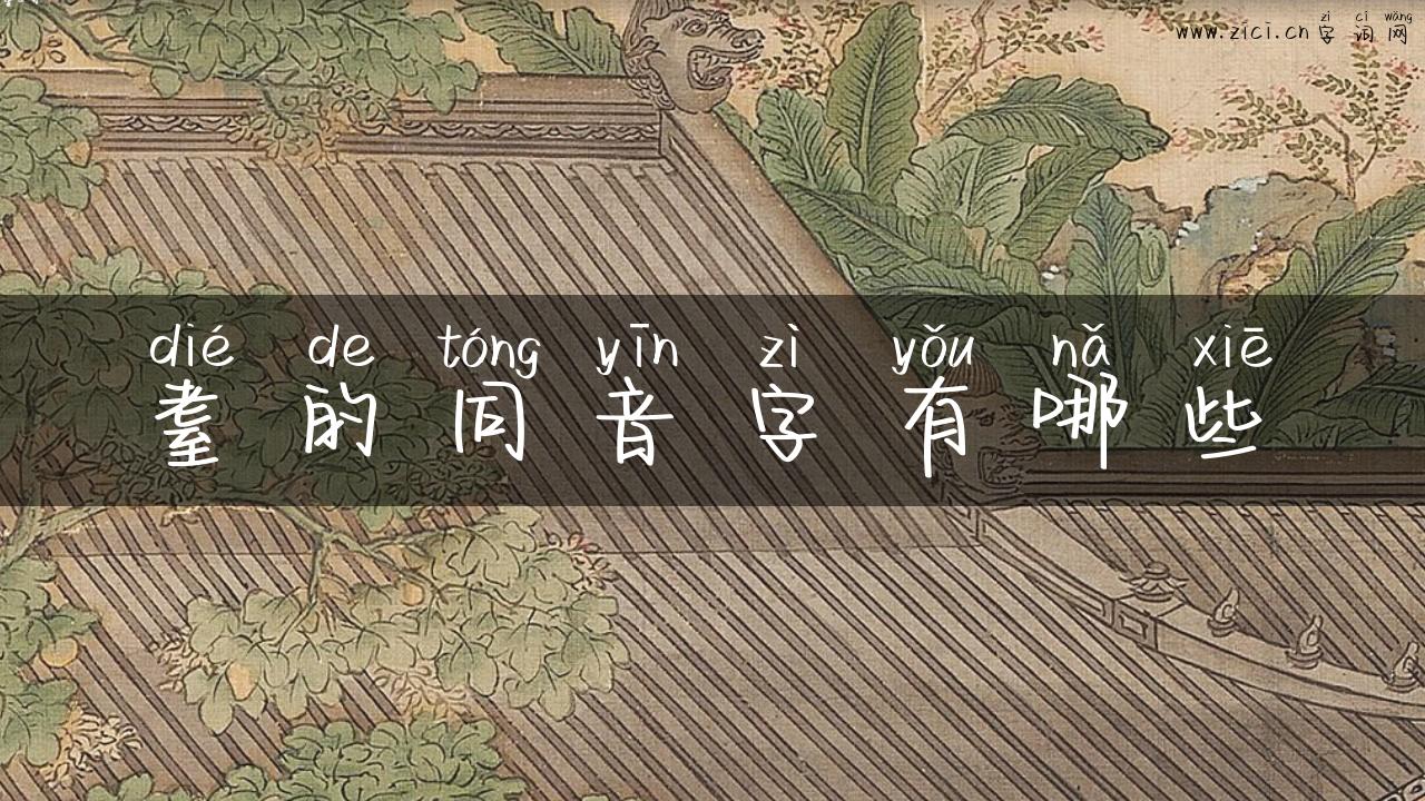 耋的同音字有哪些