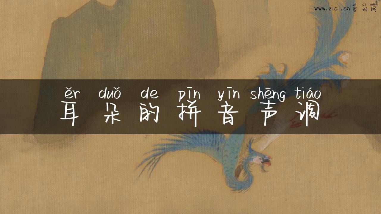 耳朵的拼音声调