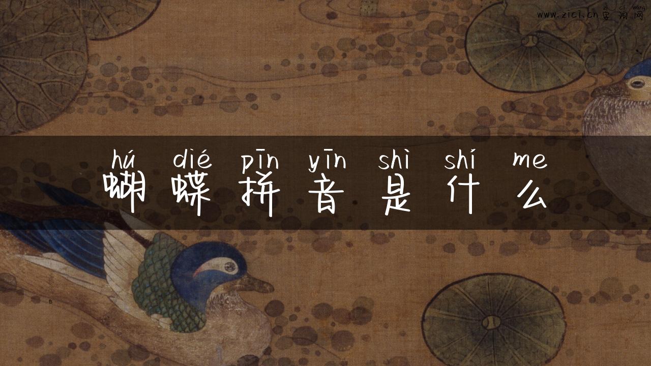 蝴蝶拼音是什么