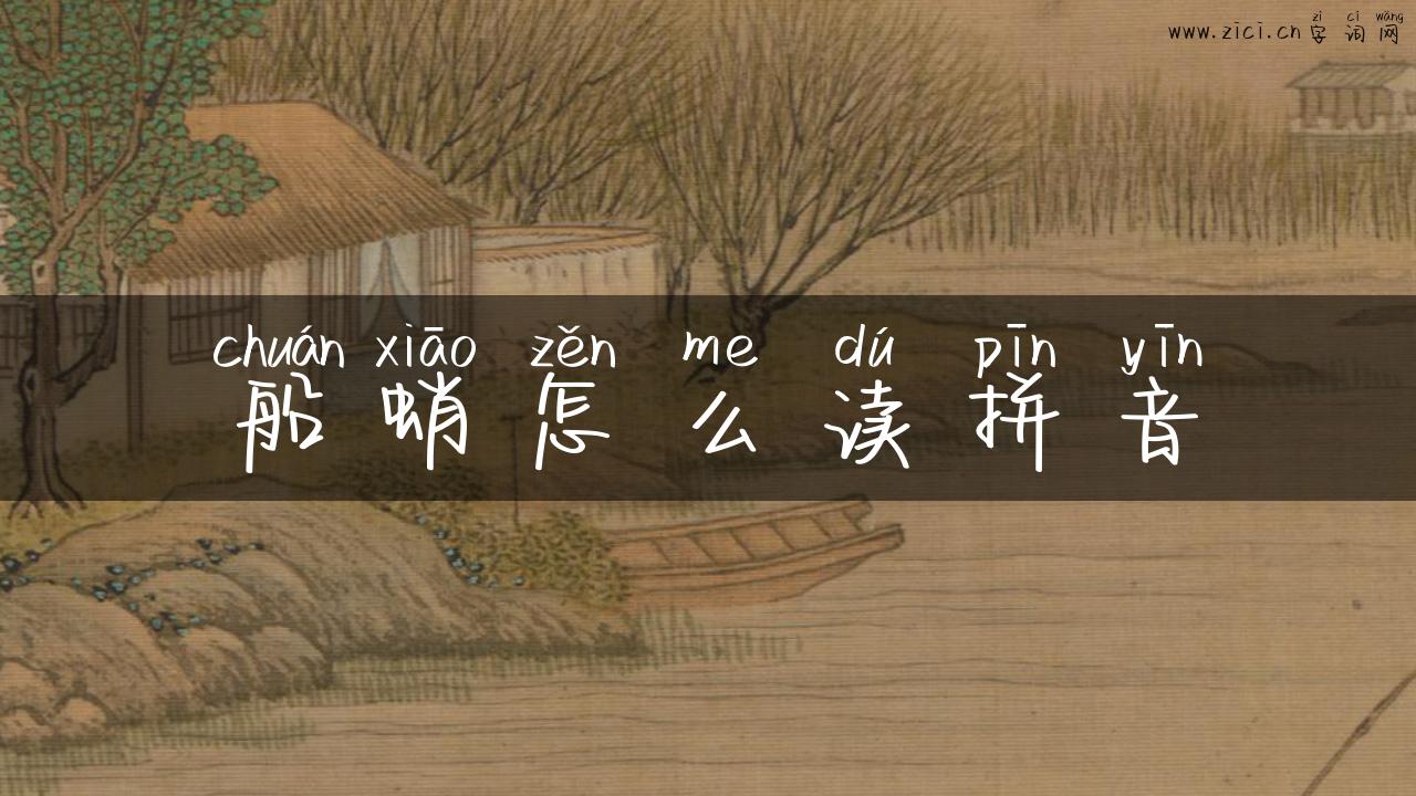 船蛸怎么读拼音