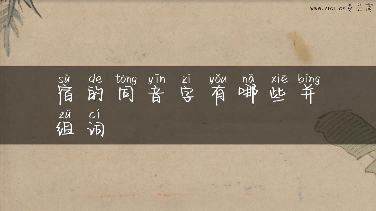 宿的同音字有哪些并组词