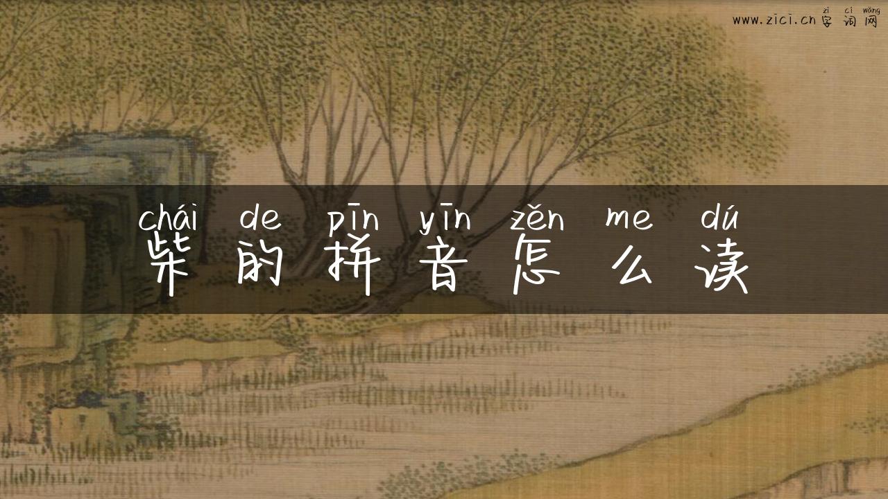 柴的拼音怎么读