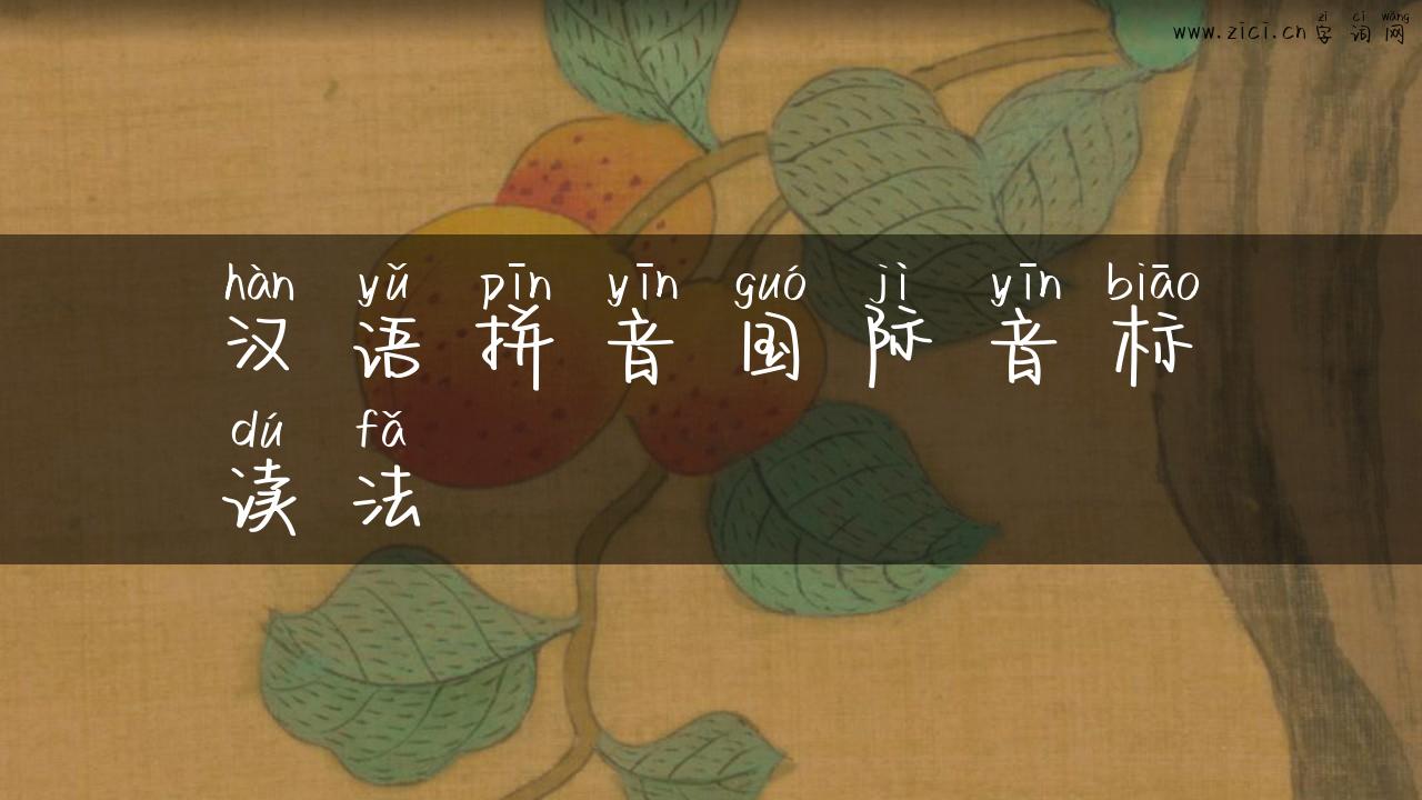 汉语拼音国际音标读法