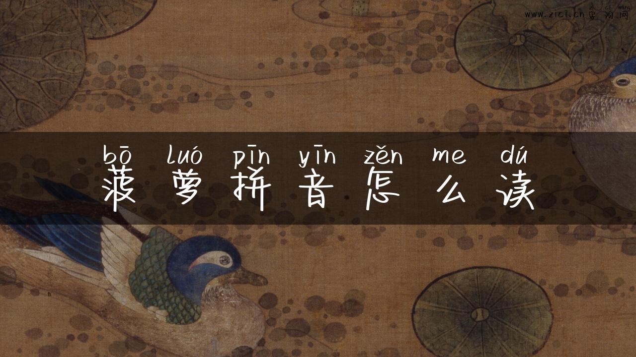 菠萝拼音怎么读