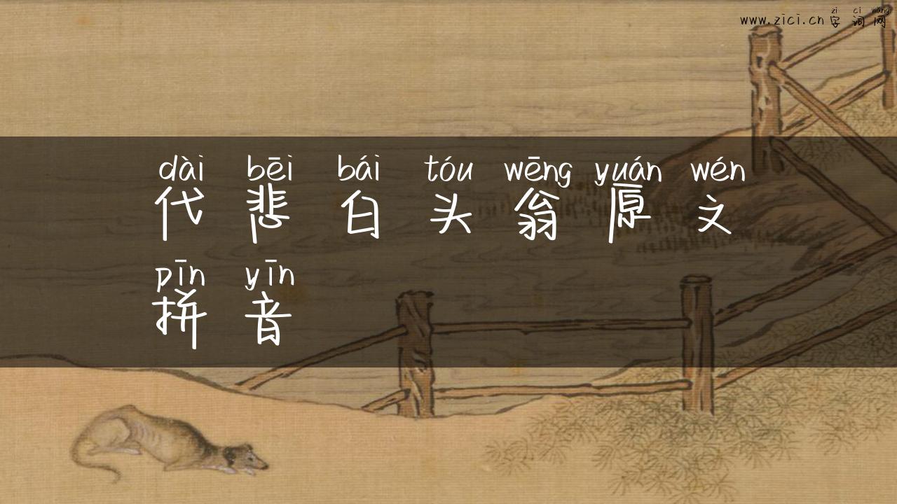 代悲白头翁原文拼音